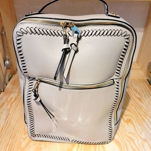 Calpak Laptop bag